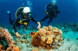 Mahmya Island Snorkeling Trip thumbnail 1
