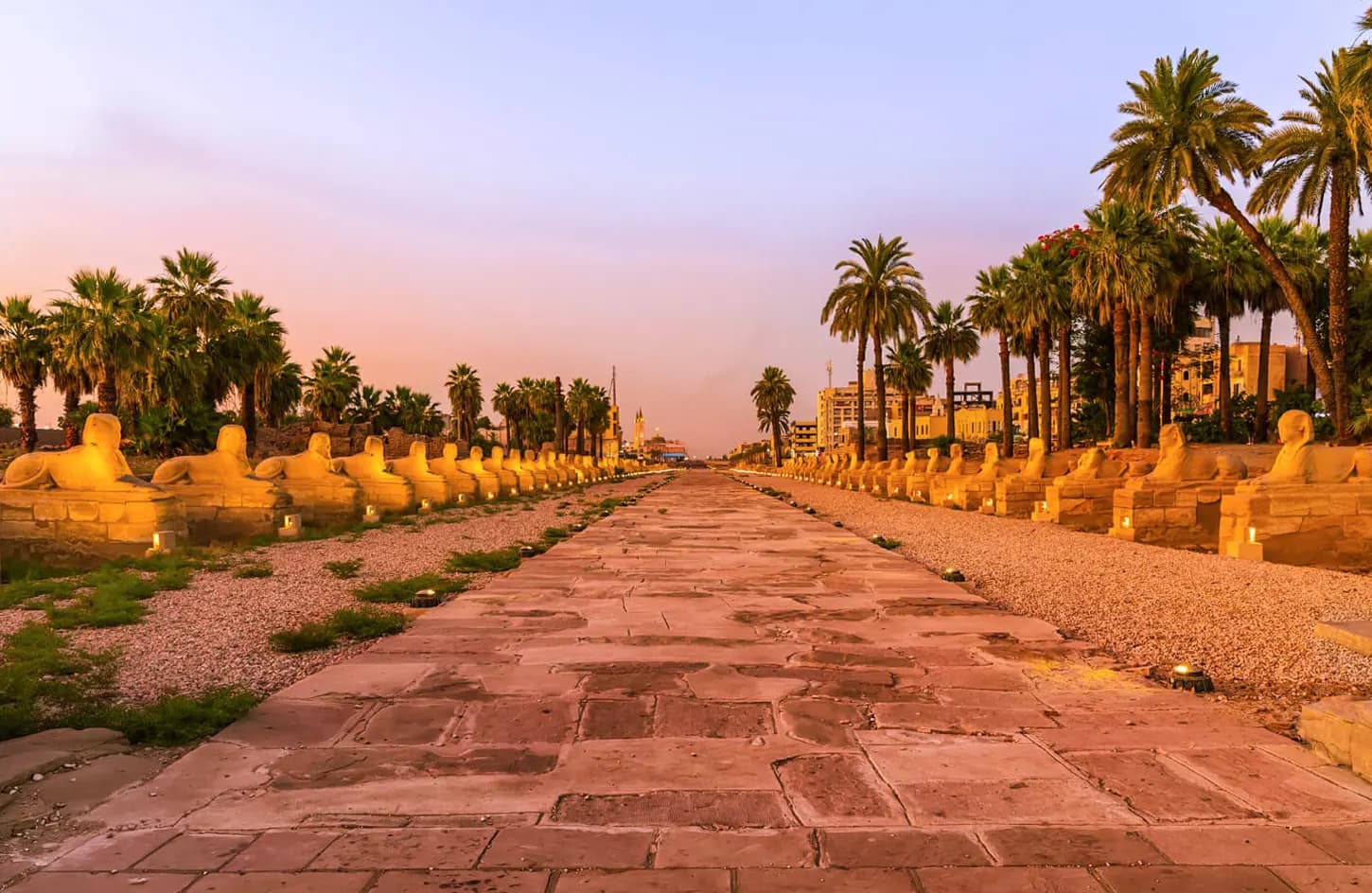 Overnight Tour to Luxor from Cairo by Flight thumbnail 4