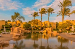 Over day tour to Ain Sokhna from Cairo thumbnail 4