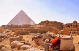 Half-Day Tour of Giza Pyramids thumbnail 1