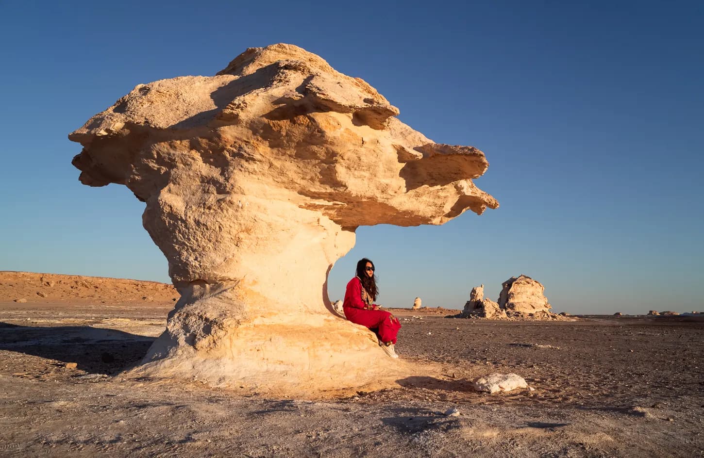 Overnight Bahariya Oasis Tour from Cairo main image