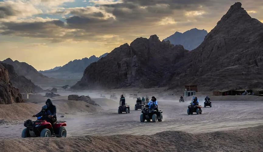 Safari in Egypt: Ignite Your Adventure in Desert Splendor