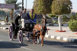 Aswan City Tour in Horse Carriage thumbnail 2