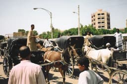 Aswan City Tour in Horse Carriage thumbnail 3