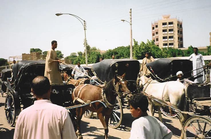 Aswan City Tour in Horse Carriage thumbnail 2