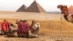 Private Day Tour to the Grand Egyptian Museum and the Pyramids of Giza thumbnail 3