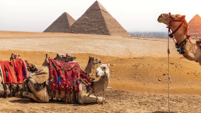 Private Day Tour to the Grand Egyptian Museum and the Pyramids of Giza thumbnail 2