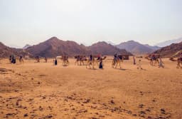 Safari Trip from Marsa Alam thumbnail 1