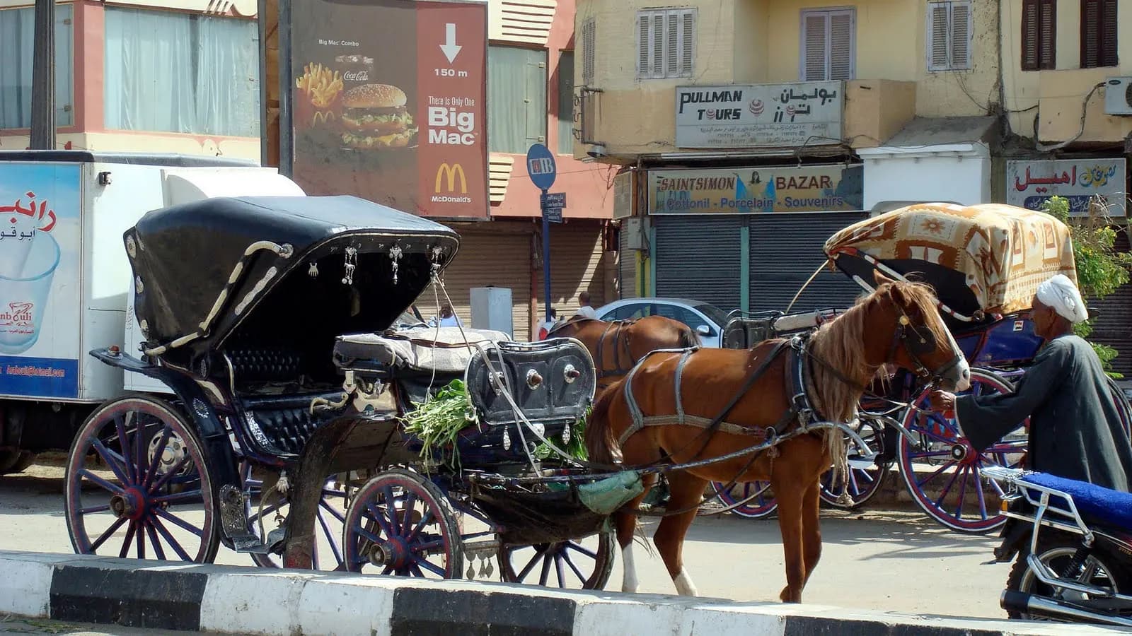 Aswan City Tour in Horse Carriage thumbnail 3