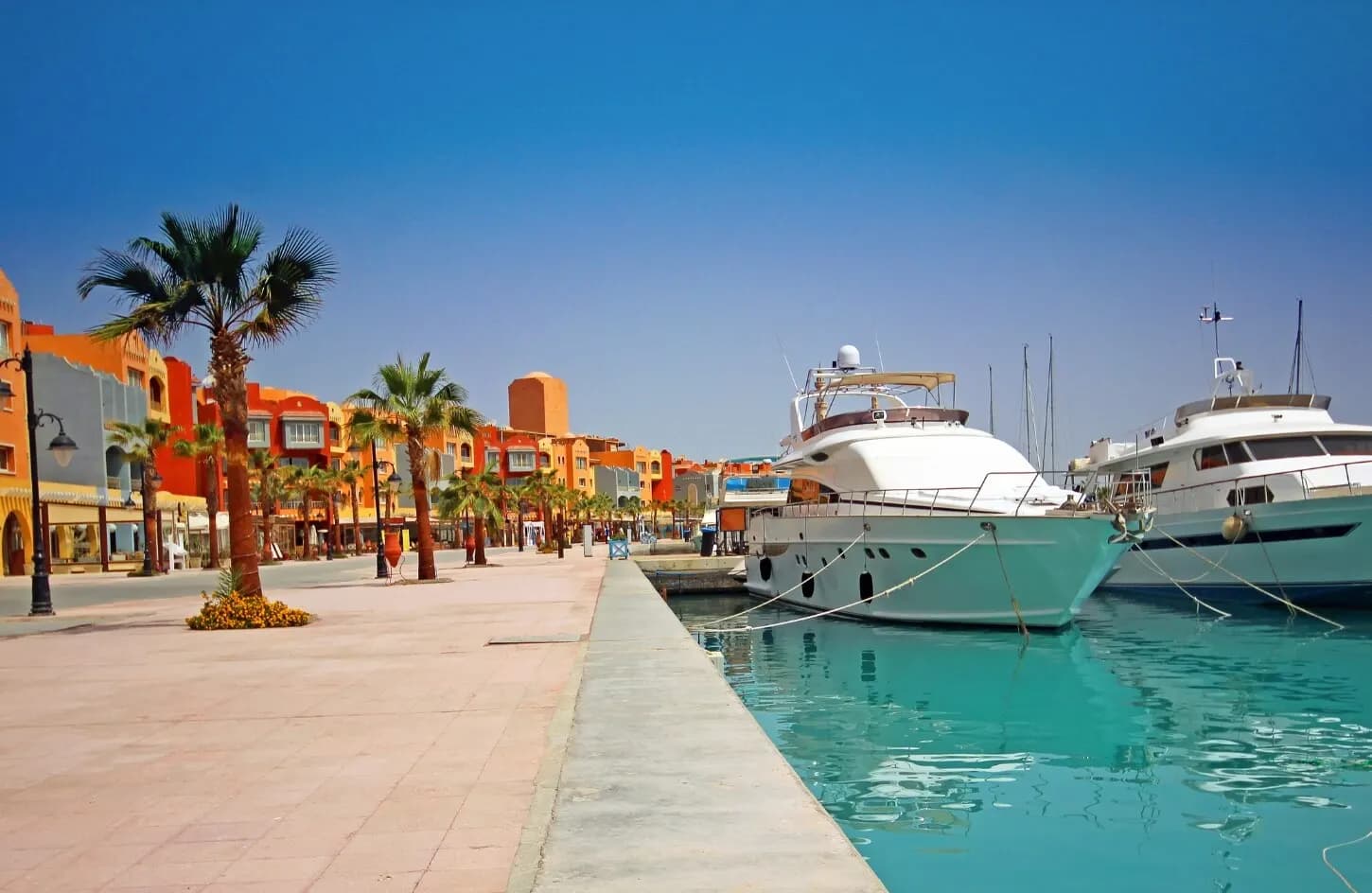 What to Do in Marsa Alam Egypt – The Ultimate Red Sea Travel Guide