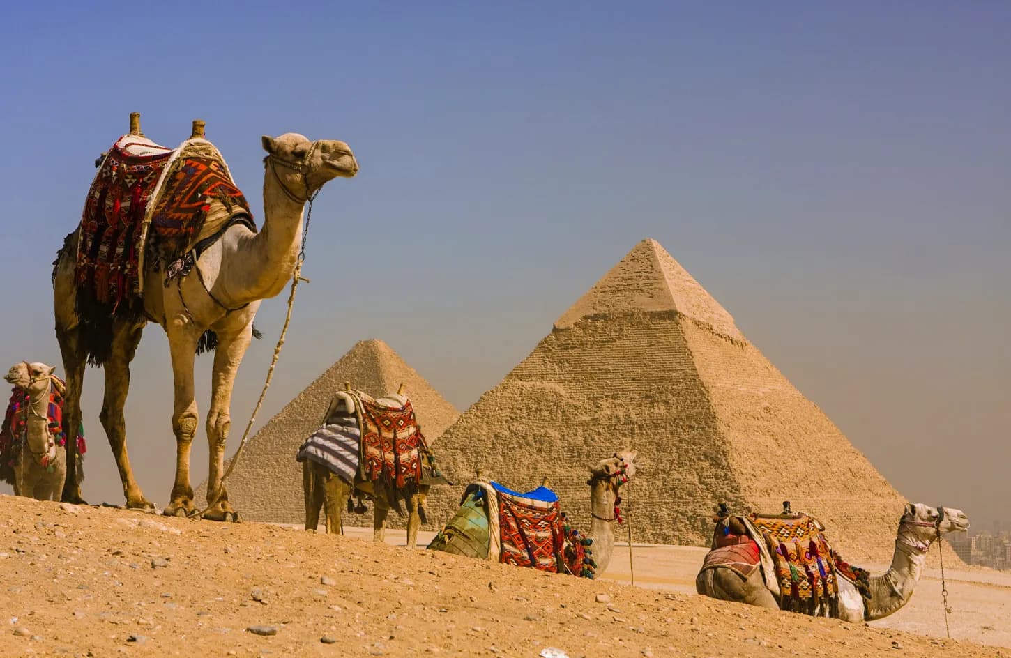 10 أيام: القاهرة ورحلة نيلية والإسكندرية