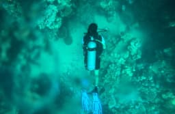 Scuba Diving in Marsa Alam thumbnail 1
