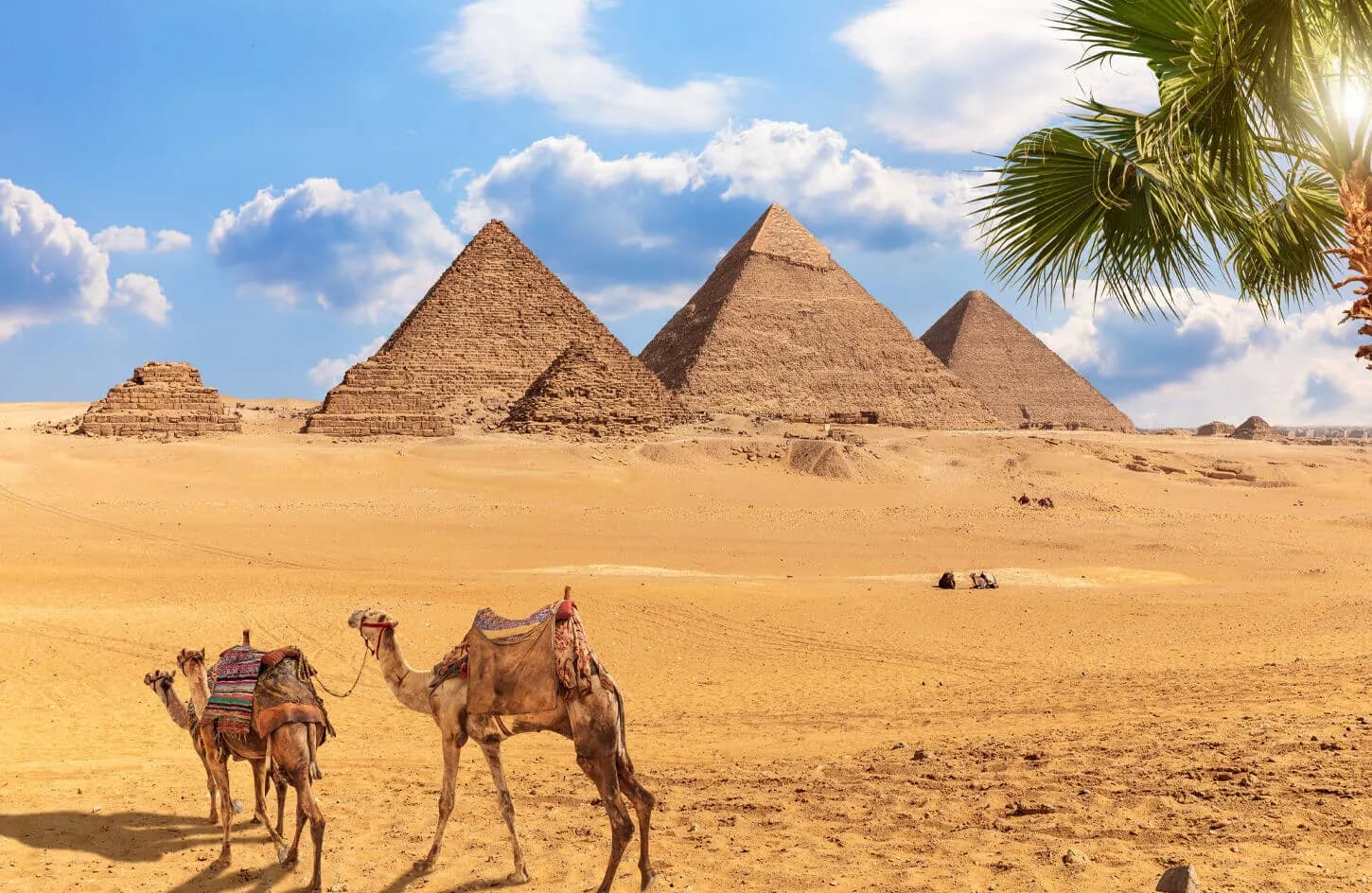 Where to Spend the Winter Holidays in Egypt