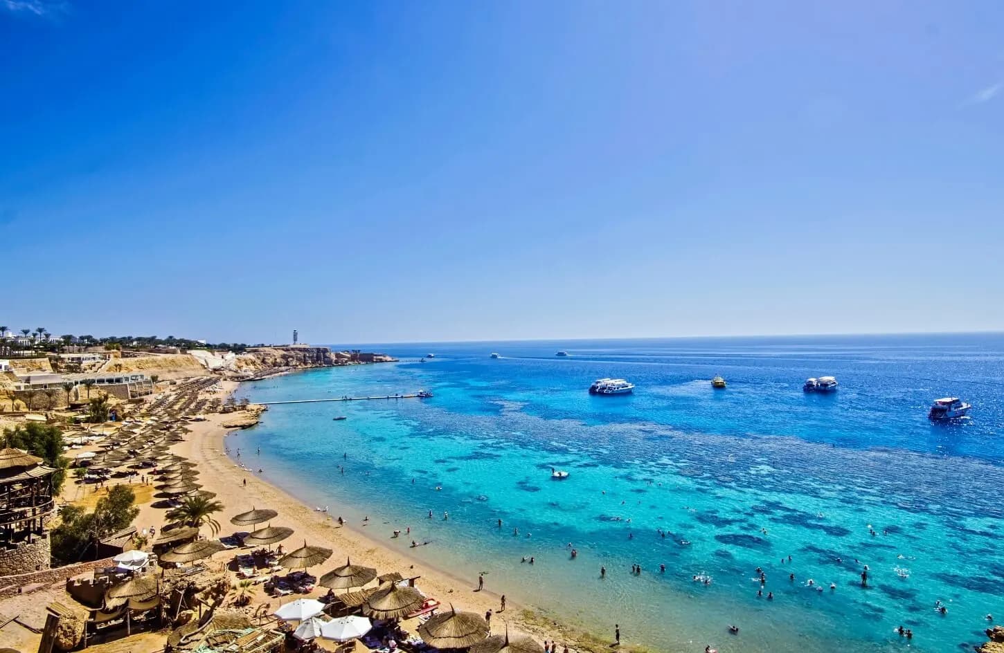 Ras Mohamed Snorkeling Trip from Sharm main image