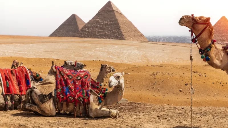 Private Day Tour to the Grand Egyptian Museum and the Pyramids of Giza 3