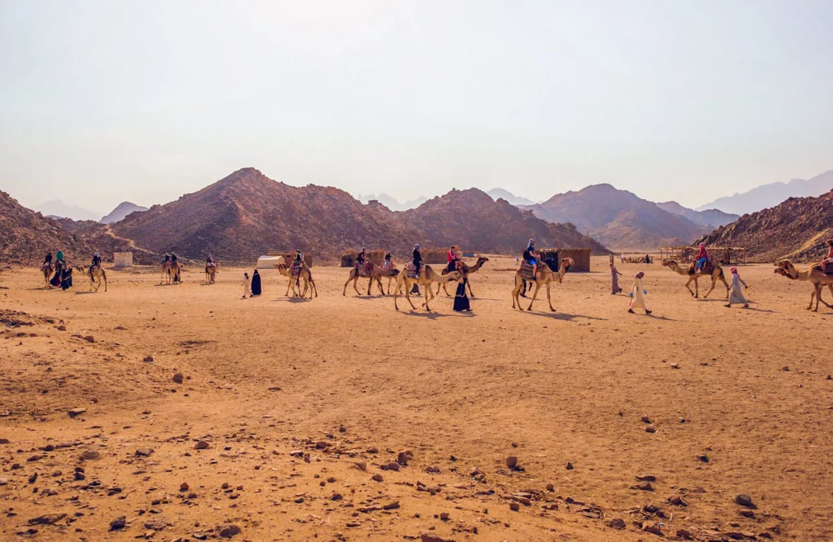 Safari Trip from Marsa Alam 1