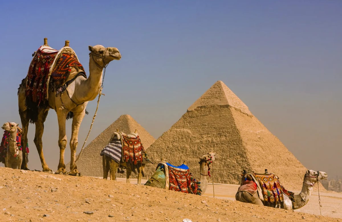 Half-Day Tour of Giza Pyramids 3