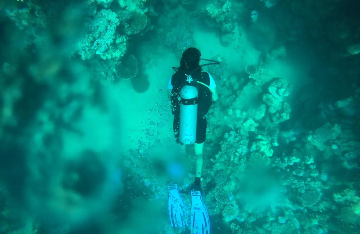 Scuba Diving in Marsa Alam 1
