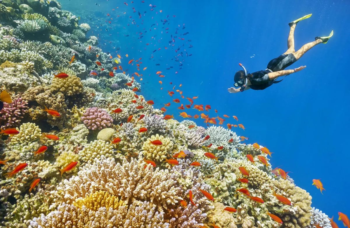 Snorkeling Trip at Port Ghalib Marina 1