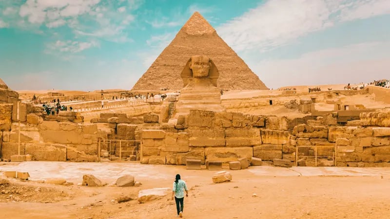 Private Day Tour to the Grand Egyptian Museum and the Pyramids of Giza 5