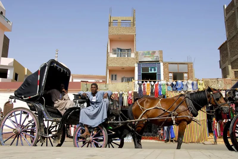Aswan City Tour in Horse Carriage 5