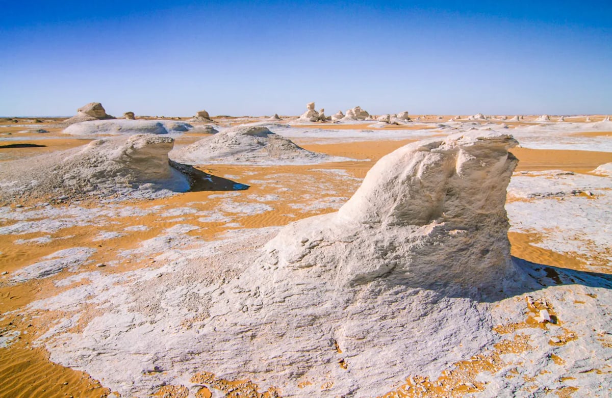 Overnight Bahariya Oasis Tour from Cairo 4