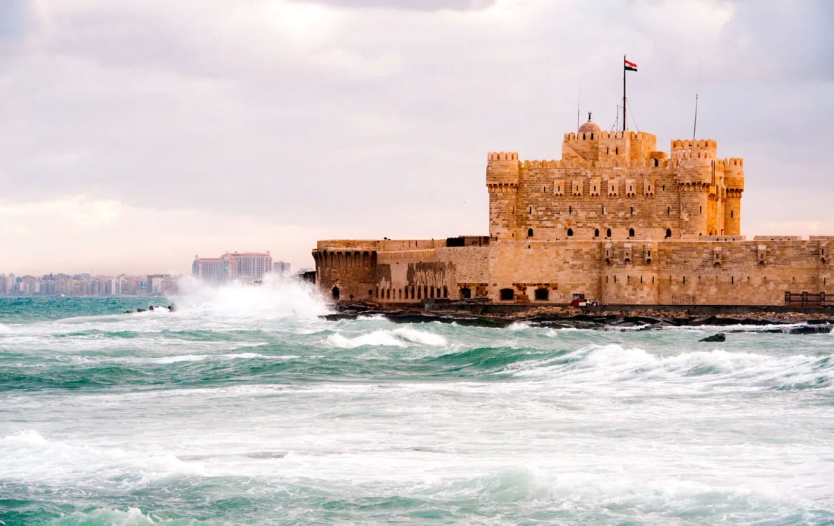 5 Days Tour to Cairo and Alexandria 7