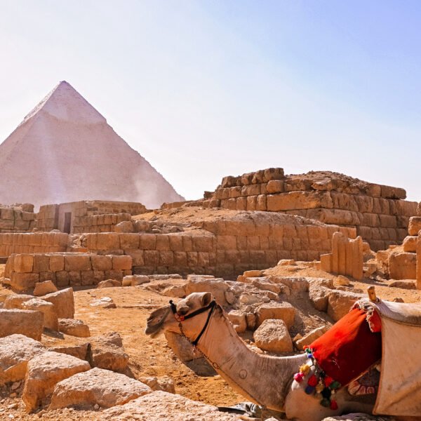 Half-Day Tour of Giza Pyramids