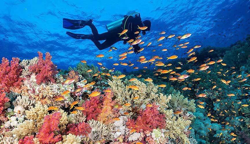 Red Sea in Egypt