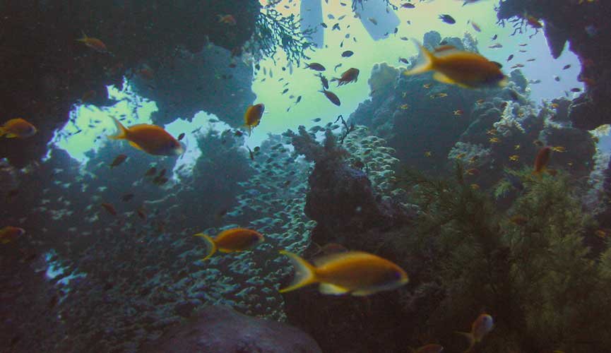 Red Sea in Egypt