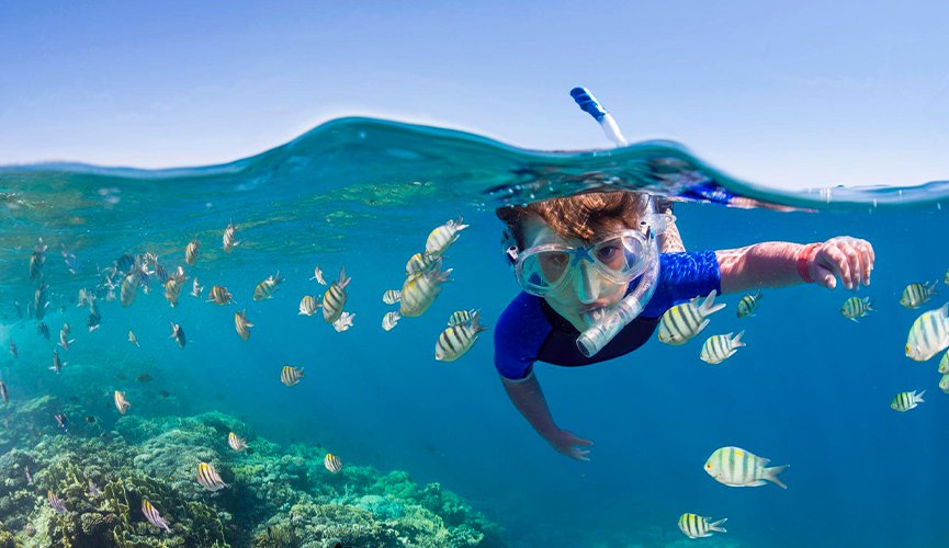 snorkeling in egypt