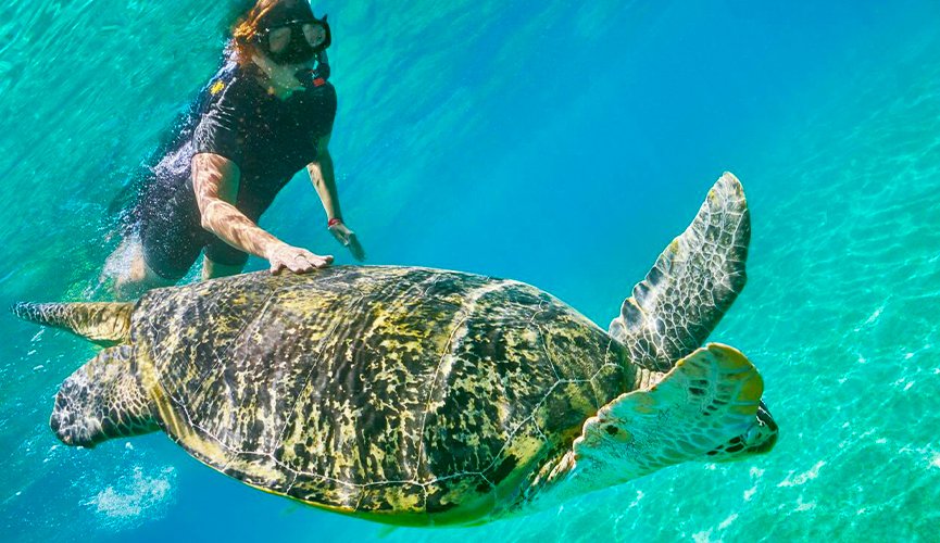 snorkeling in egypt