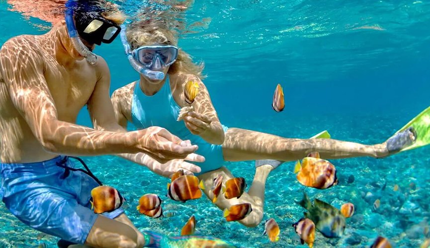 snorkeling in egypt