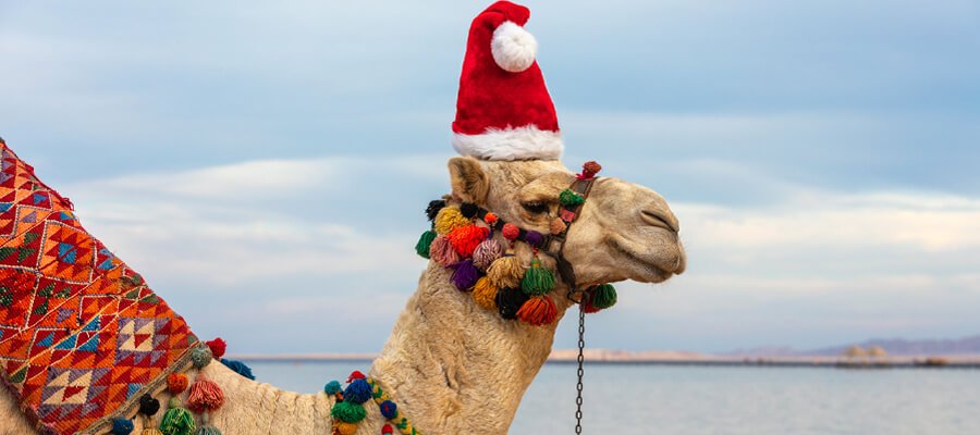 Egypt Christmas Tours