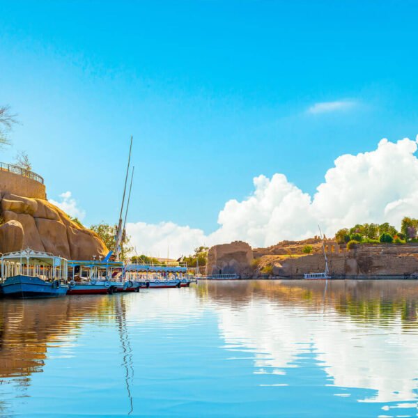 Aswan City Tour in Horse Carriage