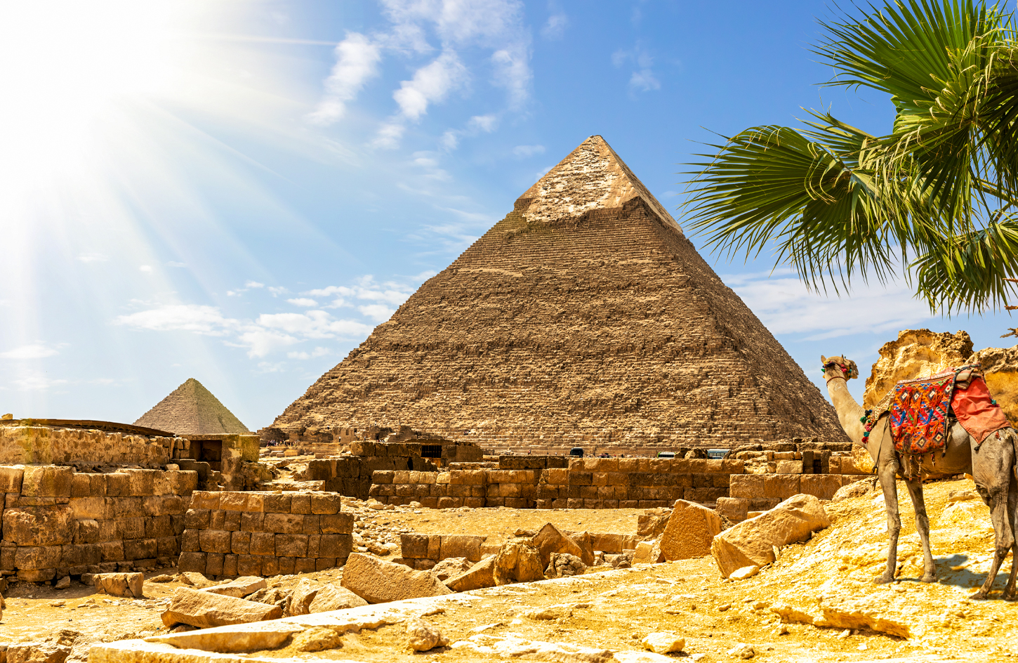 Explore Cairo in a Day