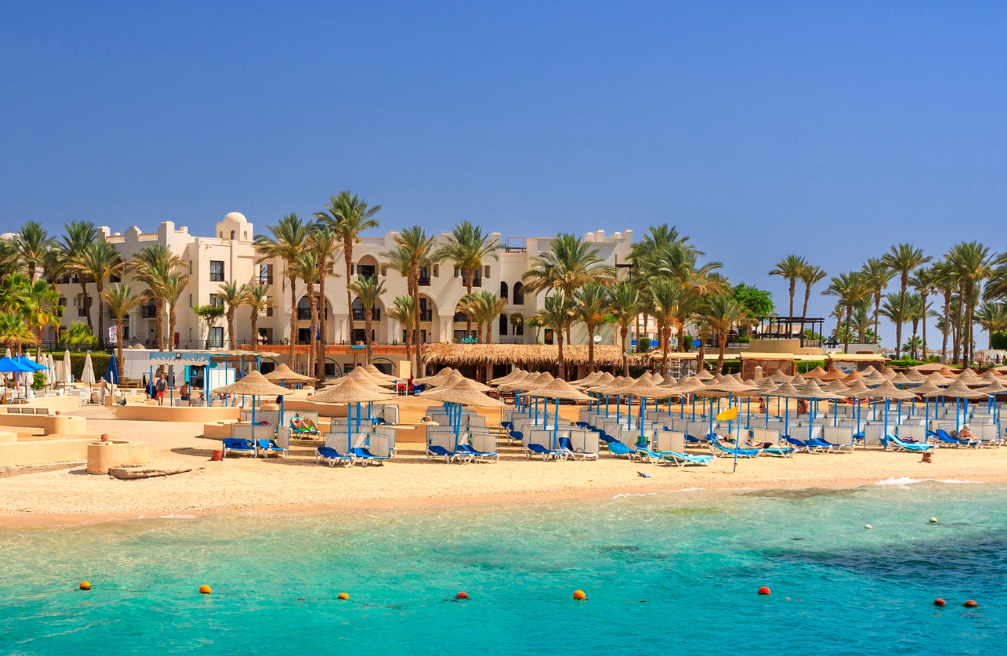 Egypt in Summer